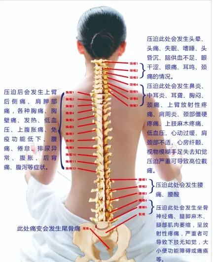 保護腰椎—示范腰椎保健操，趕快收藏吧