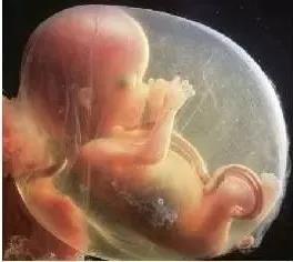 再也不用往返跑省城了，感謝醫(yī)生助我懷上了寶寶~~