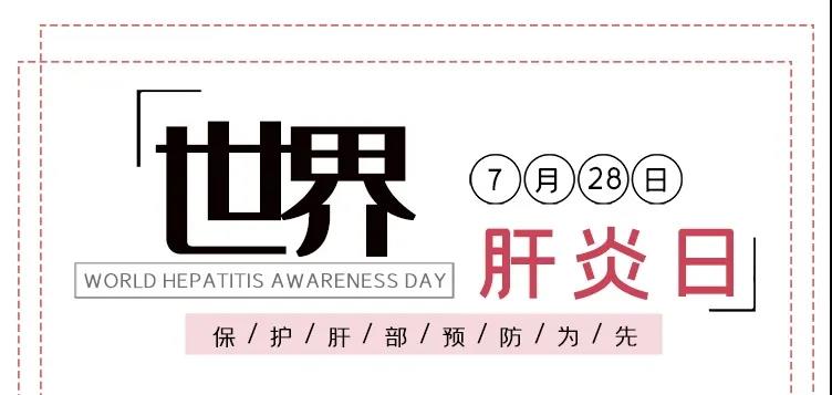 世界肝炎日——積極預(yù)防，主動檢測，規(guī)范治療，全面遏制肝炎危害！