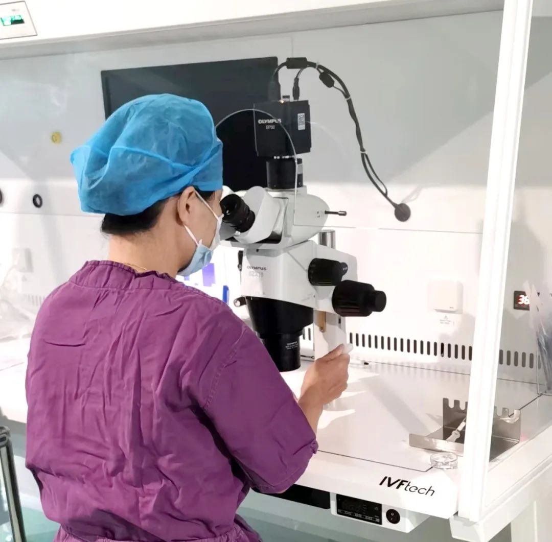 【喜訊】保山首例無(wú)精子癥通過(guò)試管嬰兒技術(shù)助孕成功！